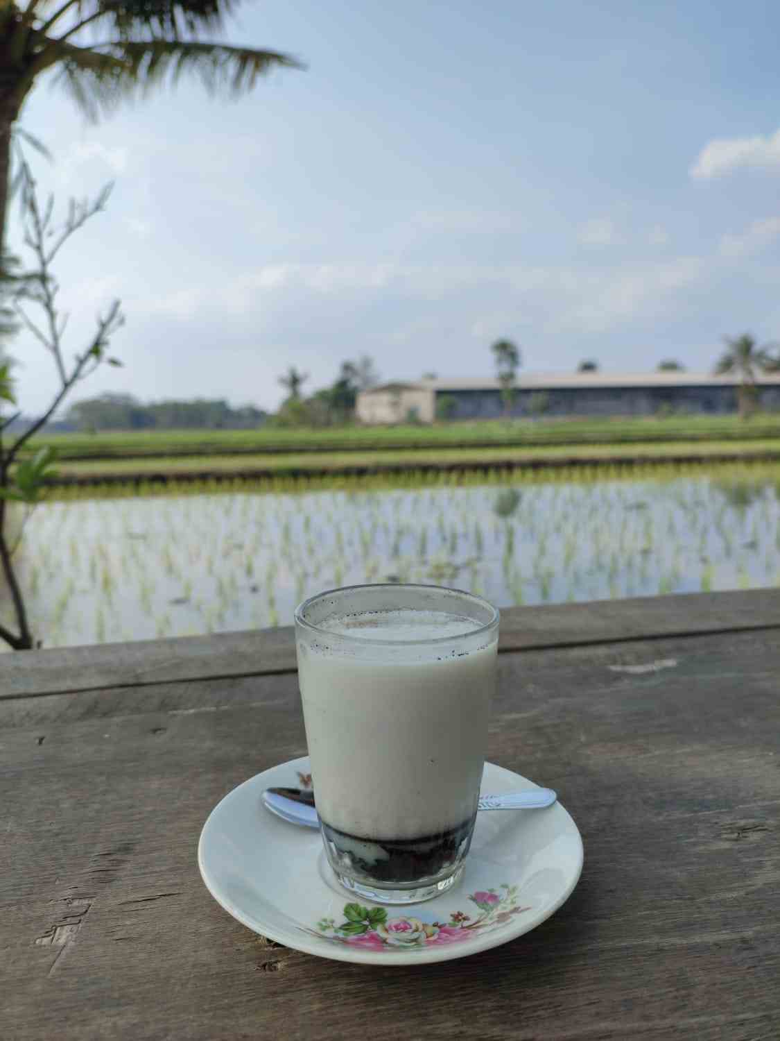 KOPI IJO KHAS TULUNGAGUNG